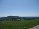 1. Hirschenau 206 Starter 14.Juni.2009