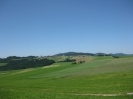 1. Hirschenau 206 Starter 14.Juni.2009