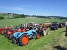 blumenschein_viedorf_10