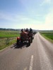 blumenschein_viedorf