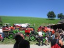 purgstall_steyr_puch_treffen_60