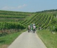 rehberg_027