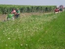 rehberg_028