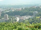 rehberg_032