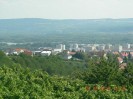 rehberg_033