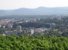 rehberg_035