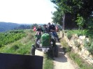 rehberg_036