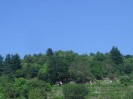 rehberg_038
