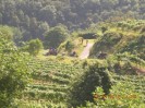 rehberg_039