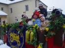 faschingsumzug_blindenmark_001