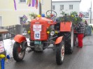 faschingsumzug_blindenmark_003