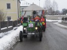 faschingsumzug_blindenmark_004