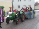faschingsumzug_blindenmark_005