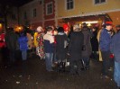 faschingsumzug_blindenmark_009