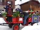 faschingsumzug_blindenmark_015