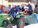 faschingsumzug_blindenmark_017