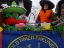 faschingsumzug_blindenmark_023