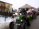 faschingsumzug_blindenmark_029