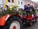 faschingsumzug_blindenmark_032