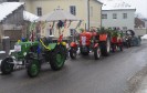 faschingsumzug_blindenmark_033