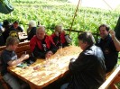 wachau_rundfahrt_der_ofst_martin_2606_32