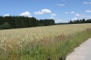 puerbach_051