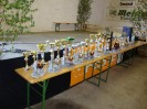 puerbach_098