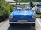 purgstall_ot_treffen_06