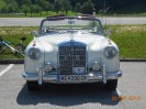 purgstall_ot_treffen_17