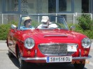 purgstall_ot_treffen_36