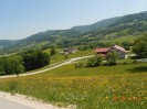purgstall_ot_treffen_51