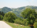 purgstall_ot_treffen_60