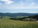 ysper_046