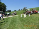 purgstall_steyr_puch_051