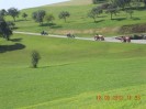 nussendorf_ot_174