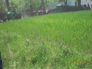 oeamtc_maiausfahrt_amstetten_71