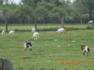 naarn_ot_48__12