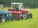 13_aumuehle_ott_041