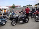 14_vitis_ott_020