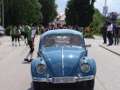17_ernsthofen_011