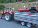 32_schoenfeld_013