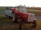 32_schoenfeld_200
