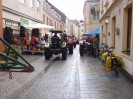 33_ybbser_bauern_053