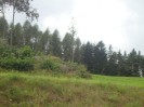 34_schoenbach_023