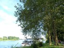 speyer_43
