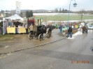 4_leiben_oldtimer_treffen_048