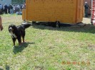 20_alland_ff_ott_021