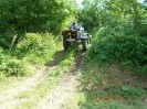 20_alland_ff_ott_058