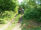20_alland_ff_ott_059