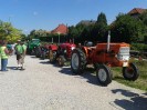 25_steinhaus_wels_ott_094